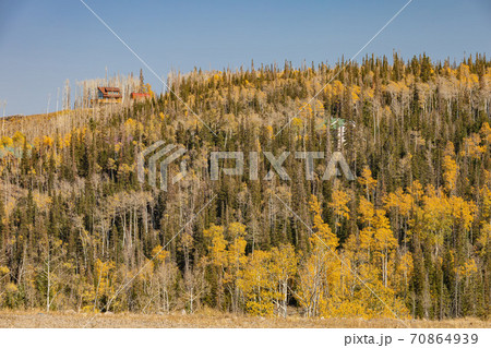 Sunny view of beautiful fall color around Brian Head area 70864939