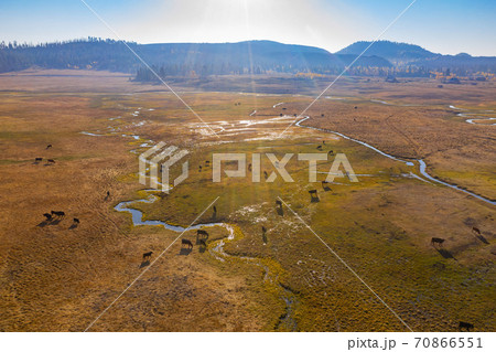 Aerial sunny view of the beautiful fall color around Dixie National Forest 70866551