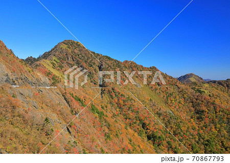 晴天下のUFOラインの紅葉 70867793