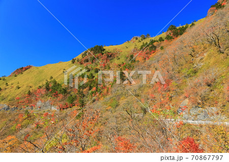 晴天下のUFOラインの紅葉 70867797