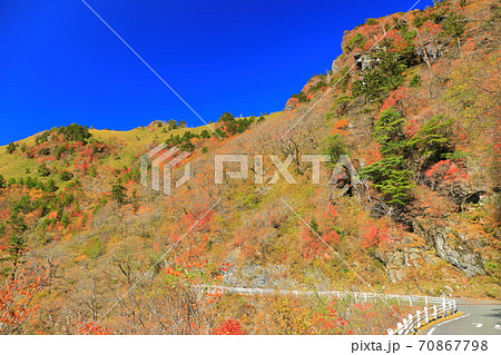 晴天下のUFOラインの紅葉 70867798