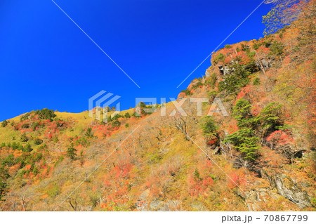 晴天下のUFOラインの紅葉 70867799