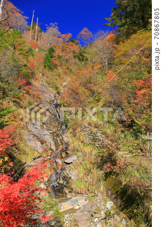 晴天下のUFOラインの紅葉(伊予富士登山口) 晴天下のUFOラインの紅葉(伊予富士登山口) 70867805