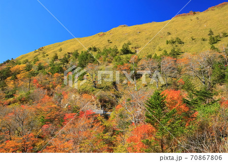 晴天下のUFOラインの紅葉 70867806