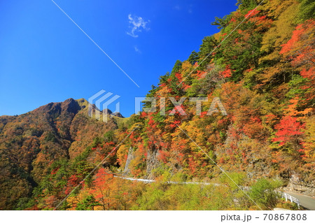 晴天下のUFOラインの紅葉(伊予富士) 晴天下のUFOラインの紅葉(伊予富士) 70867808