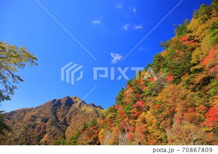 晴天下のUFOラインの紅葉（伊予富士） 70867809