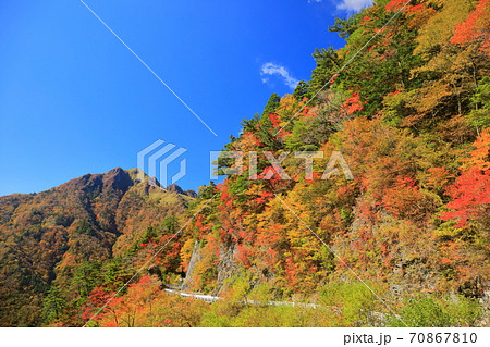 晴天下のUFOラインの紅葉（伊予富士） 70867810