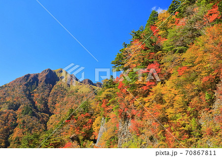 晴天下のUFOラインの紅葉（伊予富士） 70867811