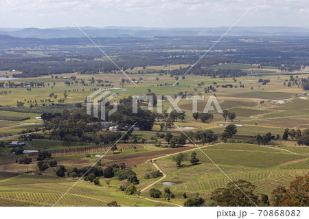 Vineyards in the Hunter Valley in regional Australia Vineyards in the Hunter Valley in regional Australia 70868082