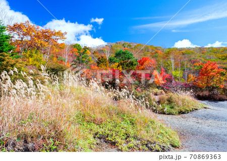 赤城小沼湖畔の紅葉 70869363