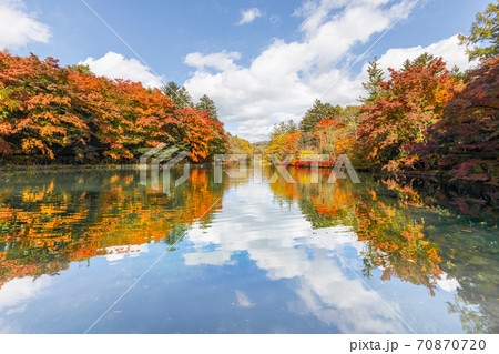 紅葉の雲場池/長野県軽井沢 紅葉の雲場池/長野県軽井沢 70870720