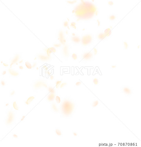 Yellow orange flower petals falling down. Unusual Yellow orange flower petals falling down. Unusual 70870861