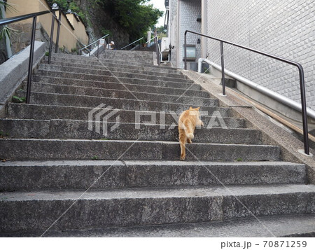尾道にある猫の細道 70871259