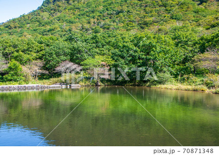 県立赤城公園 覚満淵遊歩道 木道からの景観 初秋の風景 県立赤城公園 覚満淵遊歩道 木道からの景観 初秋の風景 70871348