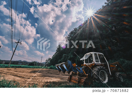 畑 夏 景色 70871682