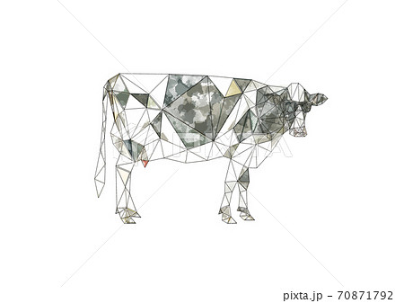 芸術的な牛のイラスト 白背景 のイラスト素材