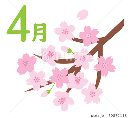 カレンダー 4月の桜のイラストアイコンのイラスト素材