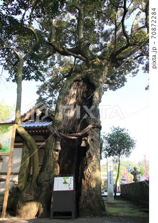 八幡竈門神社 八幡竈門神社 70872284