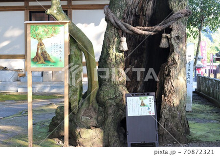 八幡竈門神社 八幡竈門神社 70872321