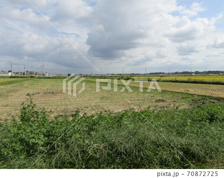のどかな田んぼの風景 70872725