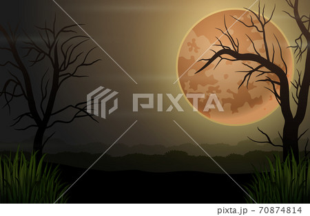 Spooky night dark forest with dry trees and full moon 70874814