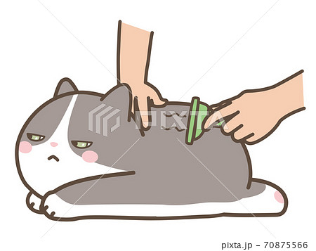 ブラッシングをされる猫のイラスト素材 [70875566] - PIXTA