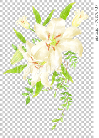 Illustration of Casablanca with a gentle touch 70876437