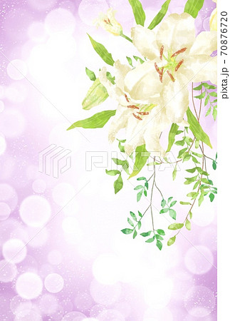 優しいタッチのカサブランカのフレーム 優しいタッチのカサブランカのフレーム 70876720