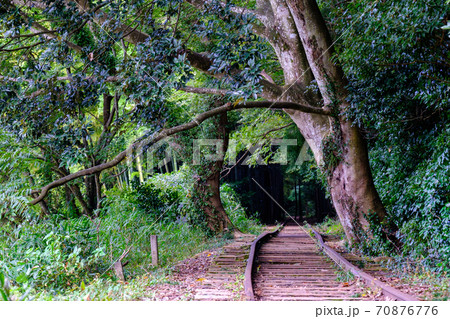 旧国鉄倉吉線廃線跡 70876776