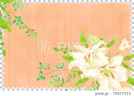 優しいタッチのカサブランカのイラスト　ウッド調 70877553