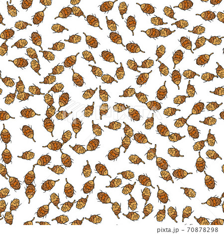 Seamless pattern with hand drawn chufa tubers Seamless pattern with hand drawn chufa tubers 70878298