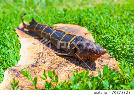 Photo of a hot smoked sturgeon lying on a wooden board on the grass at a fish farm 70878323