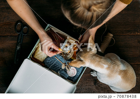 Care box, package ideas. Woman and her dog fold a care box with sweets and warm clothes. Care Package Delivery, Fall Winter holidays Food Care gift box 70878438