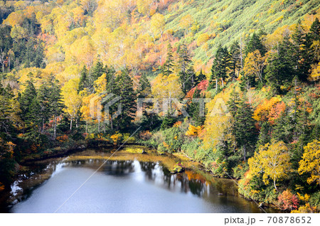 美しい紅葉に囲まれた朝の熊沼　岩手県 70878652