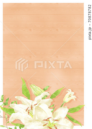 優しいタッチのカサブランカのイラスト ウッド調のイラスト素材