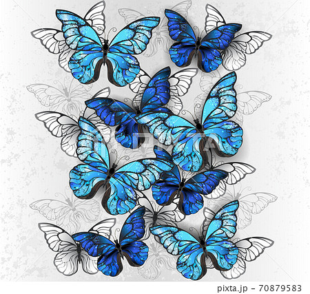 Composition Of White And Blue Butterfliesのイラスト素材