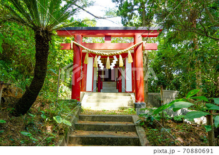 鹿児島県坊津町にある文学の森。 鹿児島県坊津町にある文学の森。 70880691