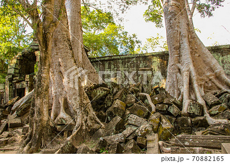 Banyan tree in Ta Prohm temple, Siem Reap, Cambodia Banyan tree in Ta Prohm temple, Siem Reap, Cambodia 70882165