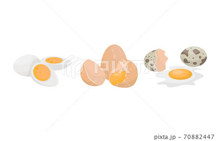 Raw Egg With Broken Shell Boiled And Scrambled のイラスト素材