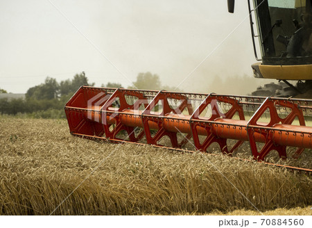 Combine harvester agriculture machine harvesting golden ripe wheat field. Agriculture. Combine harvester harvesting wheat with dust straw in the air. Heagy agricultural machinery. 70884560