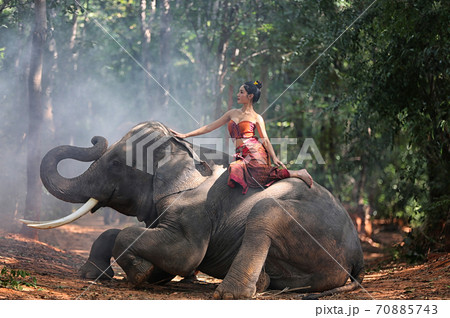 Woman Riding Elephant On Road Against Trees, Surin, Thailand 70885743