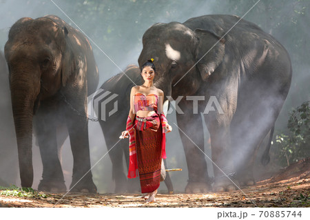 Young Woman Standing By Elephants Against Trees, Surin, Thailand 70885744