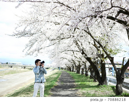 桜並木でカメラを構えるカメラマン 桜並木でカメラを構えるカメラマン 70886218