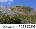 岩湧山のススキ（カヤ） 70886256