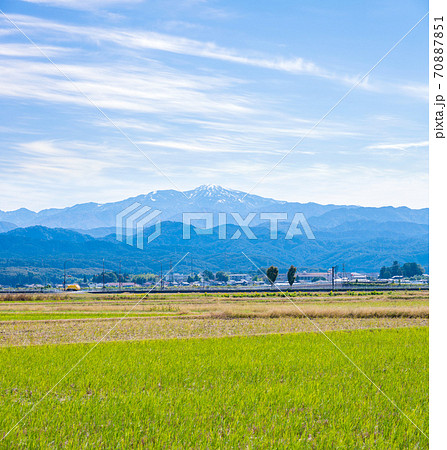 白山/冬の足音感じる、霊峰白山の遠望写真(日本百名山)2020年10月下旬撮影 白山/冬の足音感じる、霊峰白山の遠望写真(日本百名山)2020年10月下旬撮影 70887851