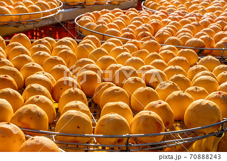 ころ柿 ほし柿 枯露柿 70888243