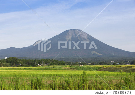 大山東麓と水田 大山東麓と水田 70889373