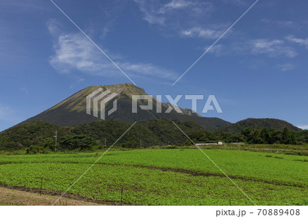 大山東麓 70889408