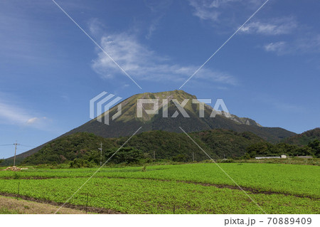 大山東麓 70889409