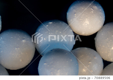 Sodium alginate (soft focus and have Grain/Noise ) is a cell wall component of marine brown algae under the microscope for education in Laboratory. 70889506